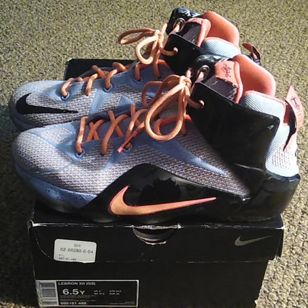 LeBron's sneakers size 6.5y